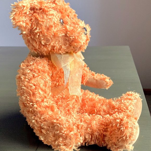 2002 Ty Classic Teddybearsary 100th Anniversary Teddy Bear Plush Stuffed Animal - Picture 2 of 8